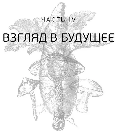 Глава 10 Рекомендации Мир если получится правда любой ценой Мартин - фото 46