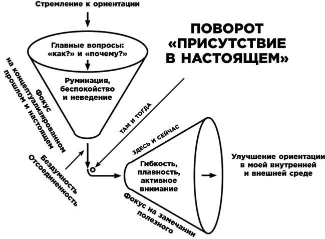 Чтобы понять что такое осознанность полезно обратиться к Джону КабатЗинну - фото 7