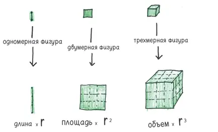 Это означает что у больших тел например человеческих больше объема на - фото 103