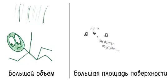 Весь фокус в поверхностном натяжении Молекулы воды любят слипаться и ради - фото 105