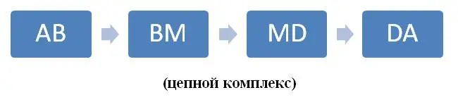Таким образом в цепном комплексе отсутствует некий структурный центр - фото 19