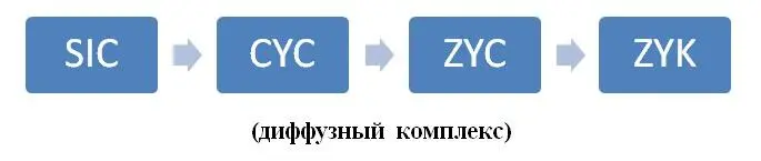 В быту проявление мышления в диффузном комплексе можно наблюдать не только у - фото 20