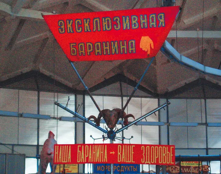 Русский язык на грани нервного срыва litres - фото 2