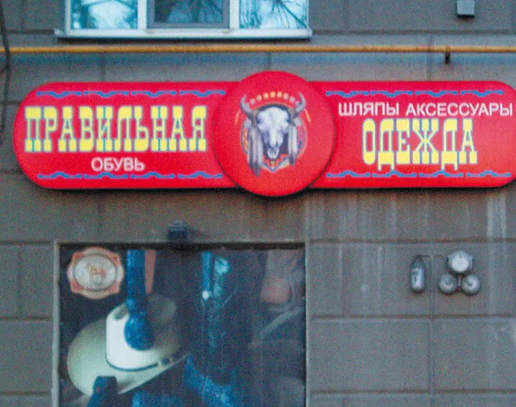 Русский язык на грани нервного срыва litres - фото 6