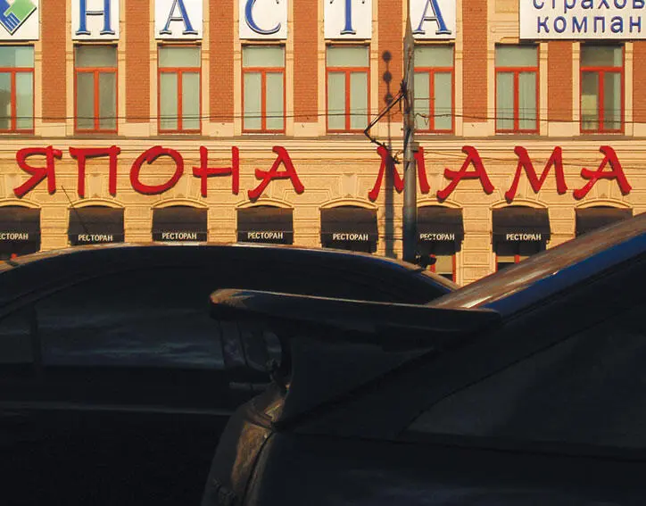 Русский язык на грани нервного срыва litres - фото 7