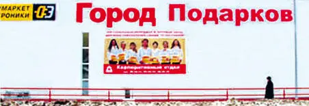 Русский язык на грани нервного срыва litres - фото 15