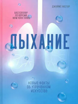 Джеймс Нестор - Дыхание. Новые факты об утраченном искусстве