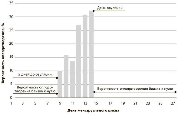 Если вам нужно определить только один день в месяце для секса процедуры - фото 4