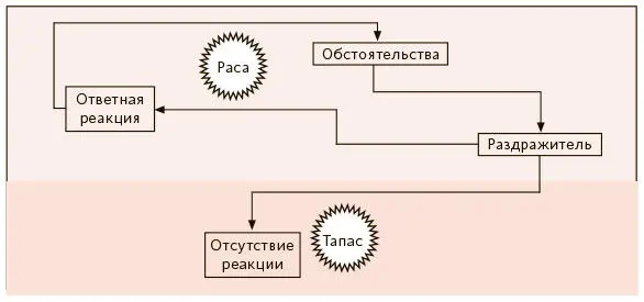 Раса и тапас Символы расы и тапаса Яджня придает силы дэвам но не асурам В - фото 88