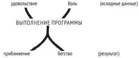 Чувственный опыт представляет собой неразбериху до тех пор пока мы не создадим - фото 3