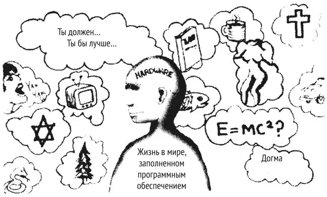 ВАШЕ АППАРАТНОЕ ОБЕСПЕЧЕНИЕ МОЖНО ЛОКАЛИЗОВАТЬ ЭТО КЛЕТКИ ГОЛОВНОГО МОЗГА - фото 5