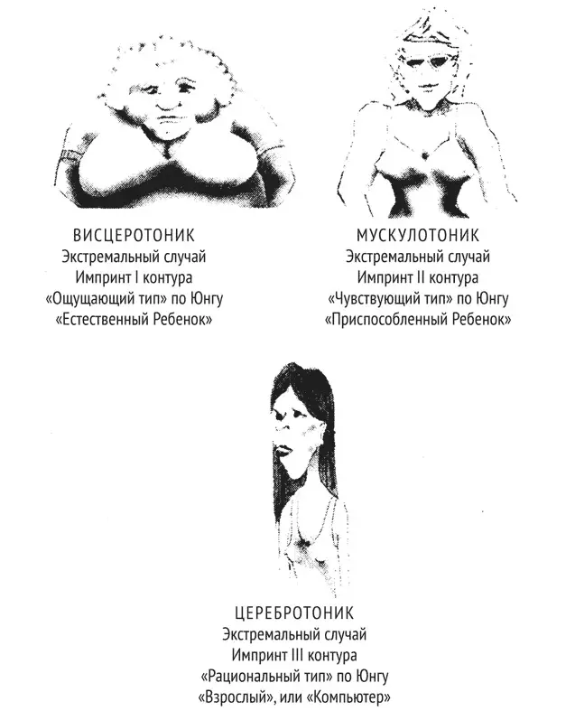 У левшей же наоборот большую часть времени функционирует правая часть мозга - фото 24