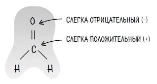 Таким образом углерод получает немного положительного заряда Это означает - фото 24