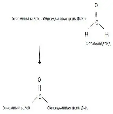 Бальзамирование формальдегидом это та же реакция но в большем масштабе - фото 25