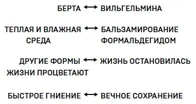 Еда портится изза жизни которая остается в клетках после того как организм - фото 26
