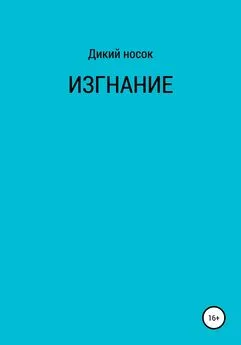 Дикий Носок - Изгнание [litres самиздат]