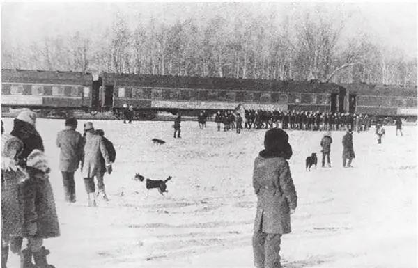 Железная дорога в Нижнетамбовском В 19861988 годах предполагалось осуществить - фото 7