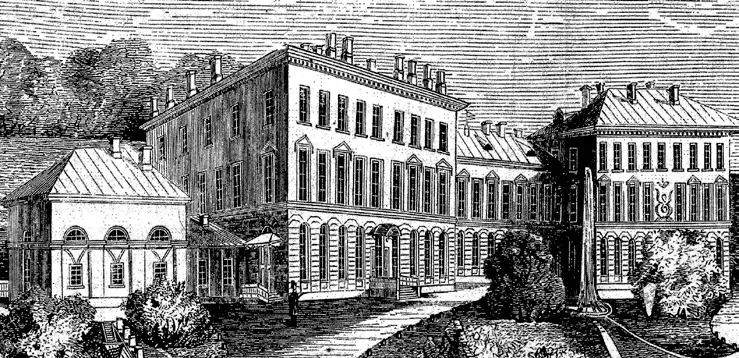 46 Петергофская гранильная фабрика Вид фабрики Литография 1871 г Царский - фото 50
