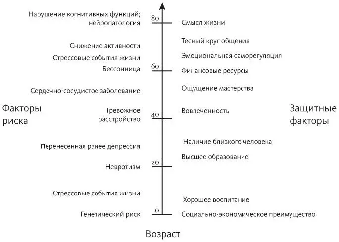 Рисунок взят из A Fiske J L Wetherell and M Gatz Depression in Older - фото 12