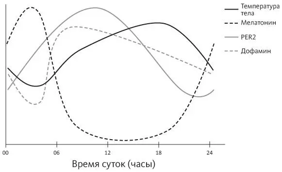 Изобретение яркого искусственного освещения более столетия назад создало - фото 19