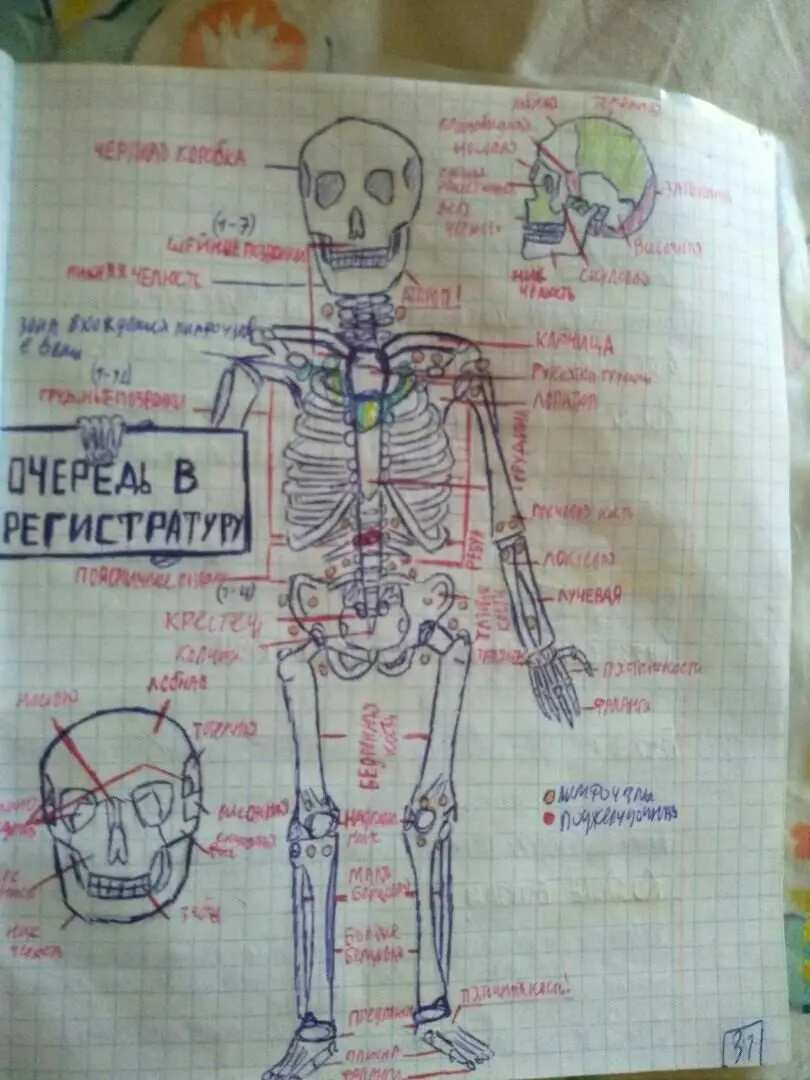 Вместо того чтобы это учить по сухому тексту я нарисовал и теперь я доволен - фото 35