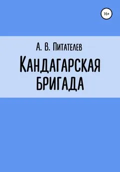 А Питателев - Кандагарская бригада