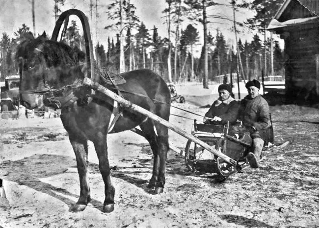 В деревне зимой Деревенские мальчишки Вскопка поля - фото 35
