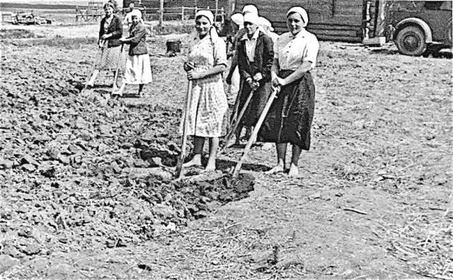 Вскопка поля Женщина раскатывает скалкой тесто Женщина вытирает морду - фото 37