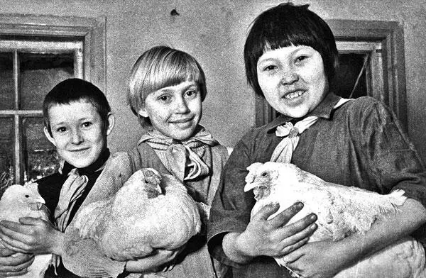 Школьники Уйбатской средней школы Хакасии с курами выращенными для Красной - фото 57