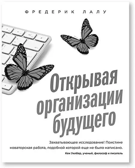 Оригинальное названиеReinventing Organizations A Guide to Creating - фото 25