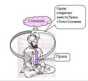 При возникновении сексуального желания у человека в его подсознании возникают - фото 103