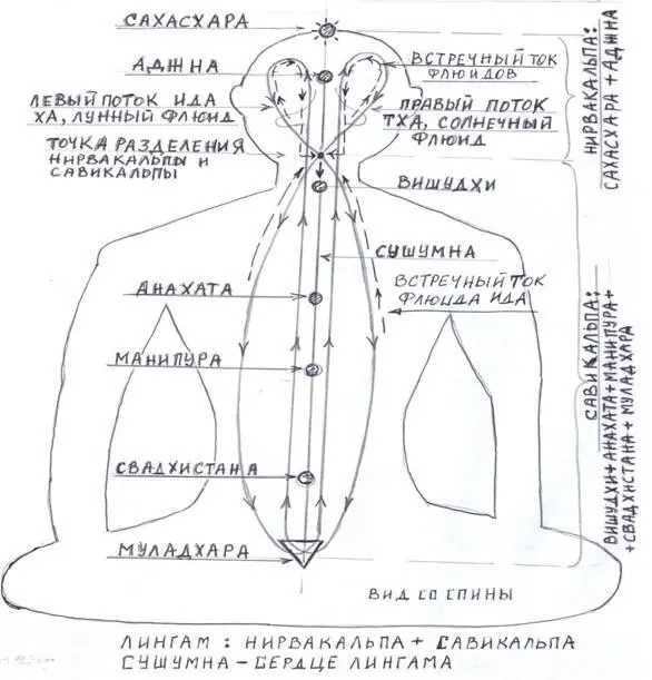 Находясь в Падма Асане позе лотоса проделайте в течении нескольких минут - фото 120