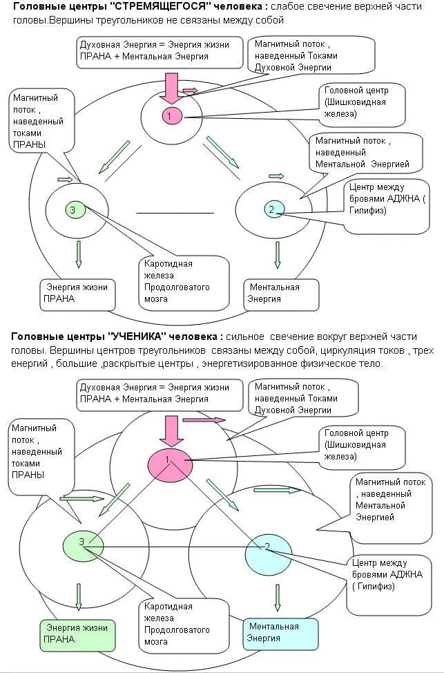 Горловой центр Вишудхи Располагается на задней стороне шеи распространяясь - фото 13