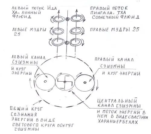 развернулась и кинулась вверх по каналу Сушумна к высшему головному центру - фото 123