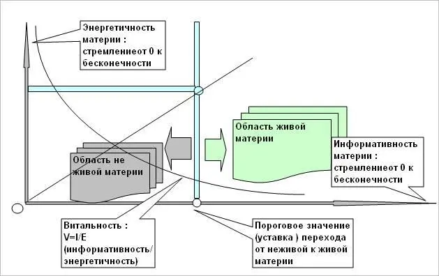 Сознание можно рассматривать как проявление витальности системы материи Это - фото 35