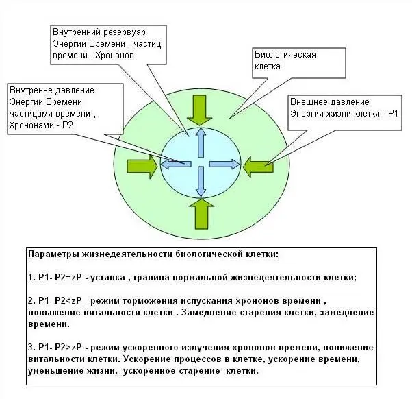 перейти на питание только солнечной энергией и энергией Жизни Праны При этом - фото 86