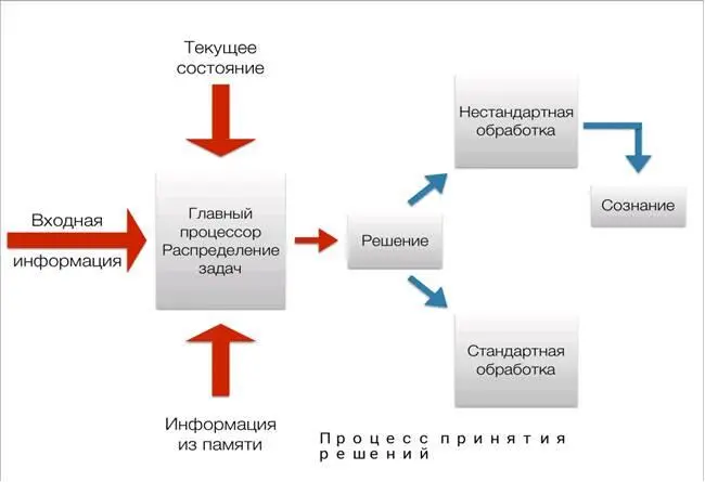 Сложный процесс который происходит у нас в Психике можно разделить на - фото 12
