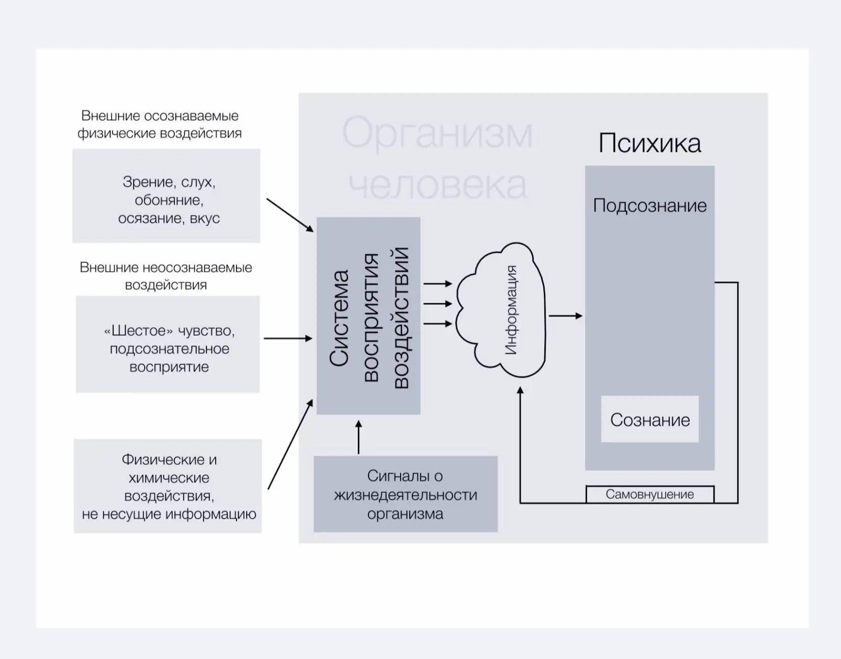 Начнем безусловно с пятерки чувств хорошо и издавна известных человечеству - фото 7