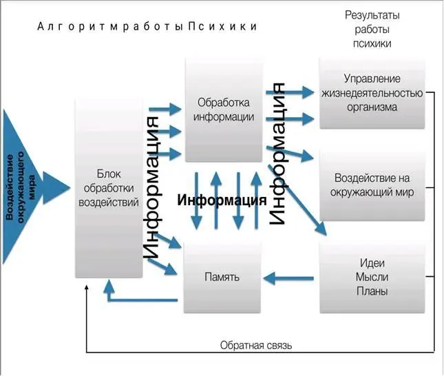 Изначально вся информация поступает в аналитический блок Его наполнение мы - фото 8