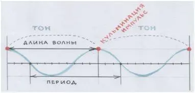 Рис автора То что мы называли кульминацией на музыкальном языке на языке - фото 104