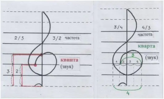 Рис автора Конечная точка большого завитка может указывать и на квинту и на - фото 202