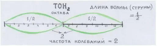 Рис автора Экспериментируем вместе с Пифагором и Архитом дальше Поместим - фото 46