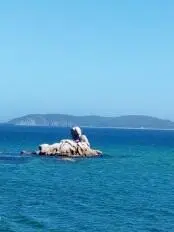 Созвездие Заяц на звёздном глобусе так и нарисован А ракушка чьё название - фото 16