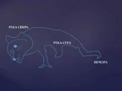 На кончике носа рельефного кота есть изображение круга с лучами символа - фото 24