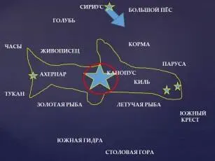 Глаза ящера входят в состав звёзд Ложного Креста созвездия Парус Другие камни - фото 51