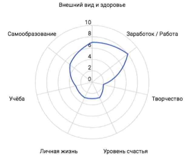 Пример колеса сфер жизни Блок 3 Видение Я не такой молодец чтобы чётко - фото 4