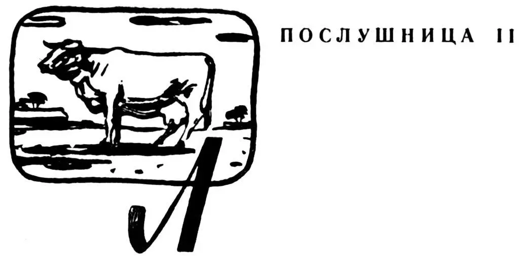 Лет двадцать пять назад в Соединенных Штатах Америки состоялся грандиозный - фото 18