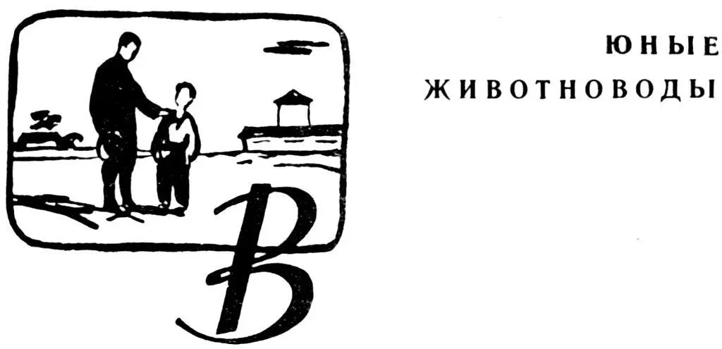 В новом телятнике были большие окна много света всегда сухо Зимой и летом - фото 19