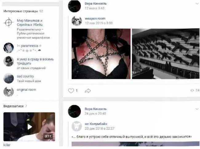 Фанатка матереубийцы пристально интересуется оружием а также школьными - фото 35