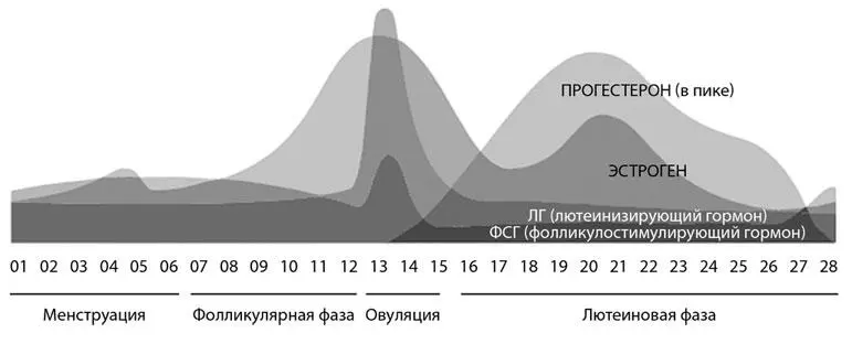 Ежемесячный анализ крови Наши ежемесячные кровотечения важный биоиндикатор - фото 6